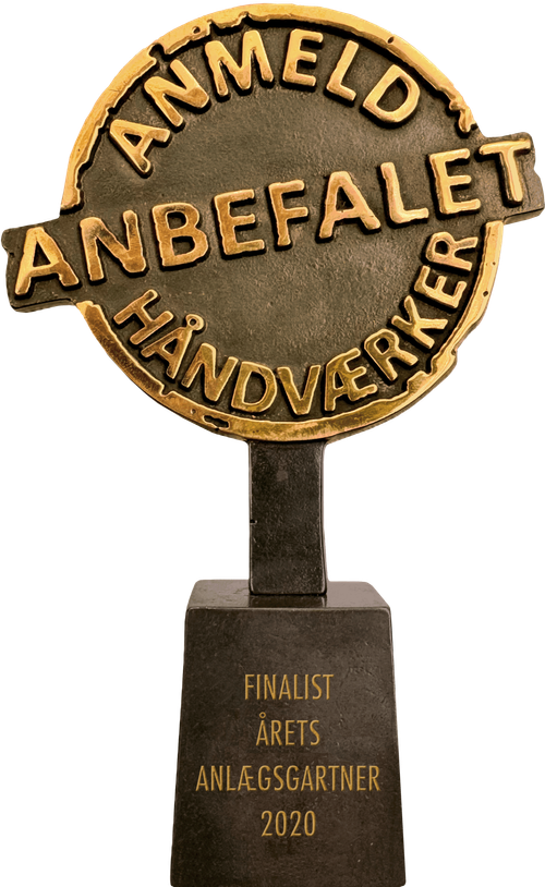 Finalist 2020
